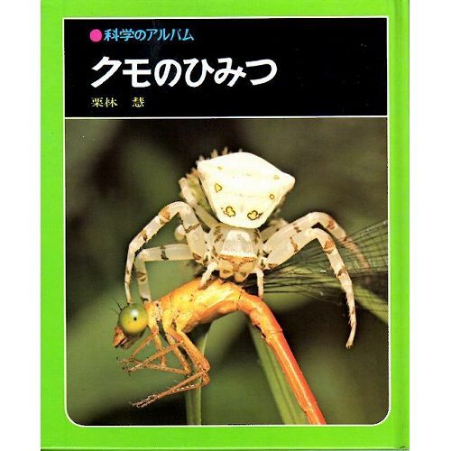 クモのひみつ 科学のアルバム36 古本の絵本 児童書専門店おひさま堂