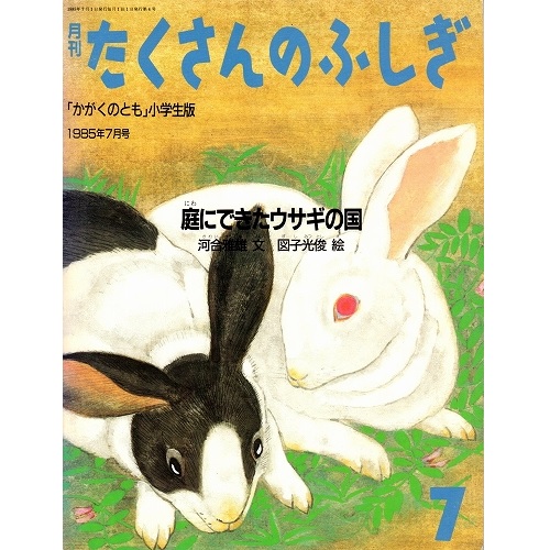 庭にできたウサギの国 たくさんのふしぎ4号 古本の絵本 児童書専門店おひさま堂